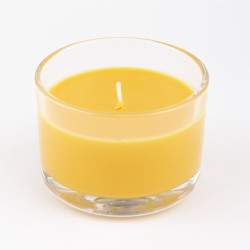 Candela profumata bolsius true scents mango [101926170410]