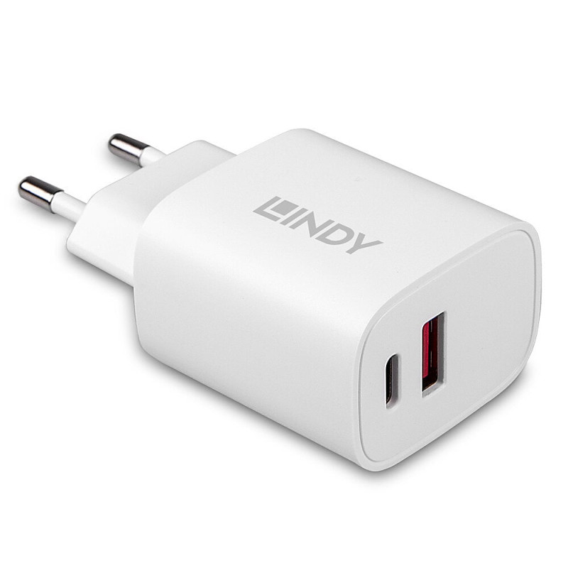 Caricatore interno lindy 20w 12v 3a usb-c 2.0 bianco [73413]