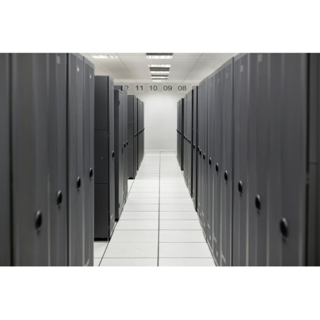 Kit di abilitazione hp proliant ml110 gen11 ns204i-u enable [p61742-b21]