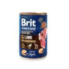 Mangime umido per cani brit premium by nature agnello con grano saraceno