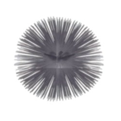 Scovolo camino spazzolificio aiello in acciaio tondo mm.150 [spazzolifici]