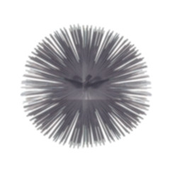 Scovolo camino spazzolificio aiello in acciaio tondo mm.250 [spazzolifici]