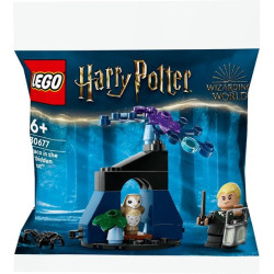 Lego harry potter draco foresta proibita con 1 figurina 29pz [30677]