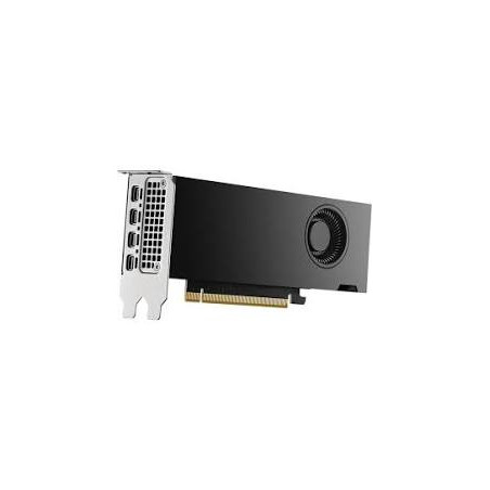 Scheda video nvidia pny rtx2000 ada lovelace 16gb gddr6 128bit nero