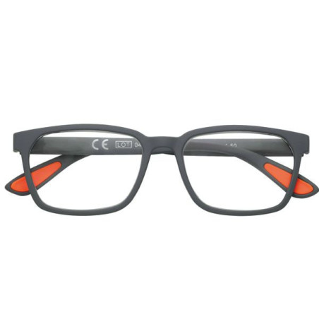 Occhiali zippo da lettura +1,00 31z-pr108 [31z-pr108-100]