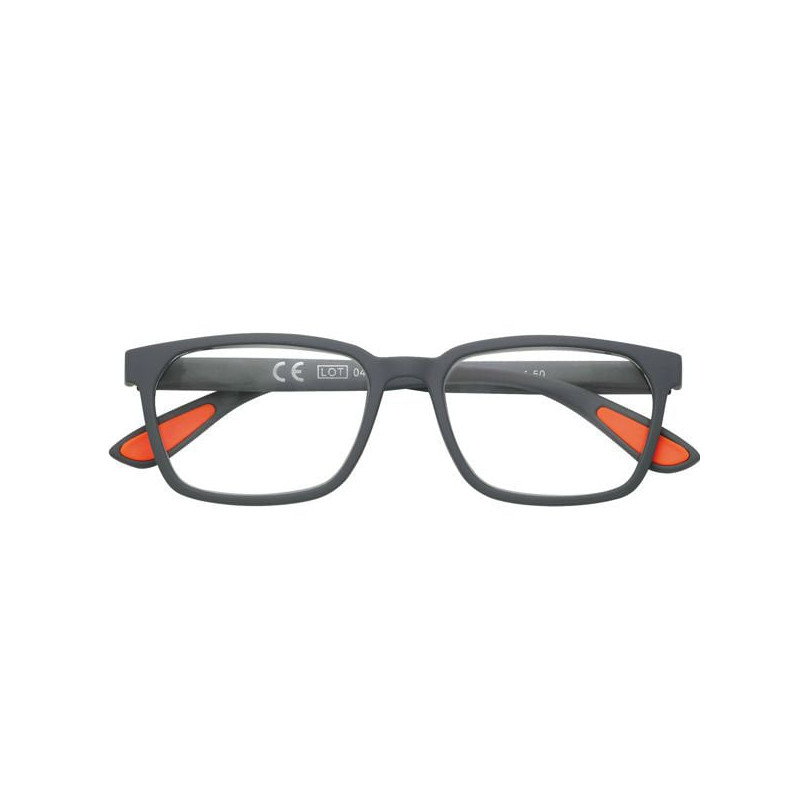 Occhiali zippo da lettura +3,00 31z-pr108 [31z-pr108-300]