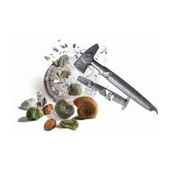 Gioco educativo clementoni scienza e gioco lab fossili e minerali