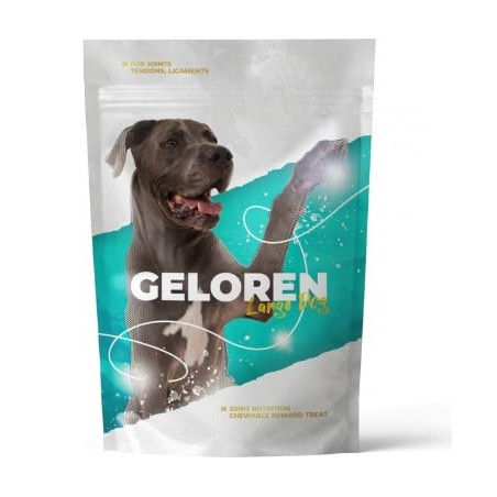 Vitamine per cani contipro geloren articolazioni di taglia grande