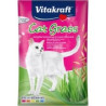 Snack per gatti vitakraft erba gatta semi di erba 50g