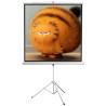 Schermo di proiezione sbox psmt-112v2 con treppiedi 112''
