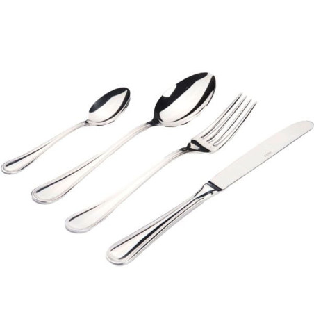 Set coltelli gnali bacicio da bistecca in acciaio inox 22cm 2pz [pk20ho]