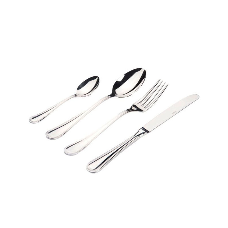 Set coltello gnali bacicio hotel da tavola in acciaio inossidabile