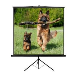 Schermo per proiezione sopar tp new junior 200x200 [1220nj]