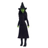 Bambola mattel wicked cantando elphaba multicolore [hym40]