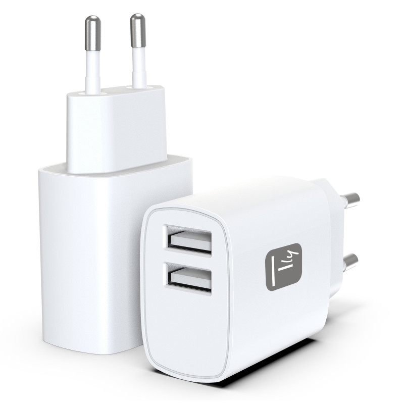 Alimentatore da rete techly 2xusb-a 12w bianco