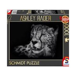 Puzzle schmidt ashley rader: speed â??â??â??â??cheetah in the sign