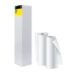Rotolo plotter rotolificio pugliese 90gr 42x50 2pz bianco [d42p29q]