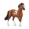 Schleich horse club mangalarga marchador stallone nero/marrone/bianco