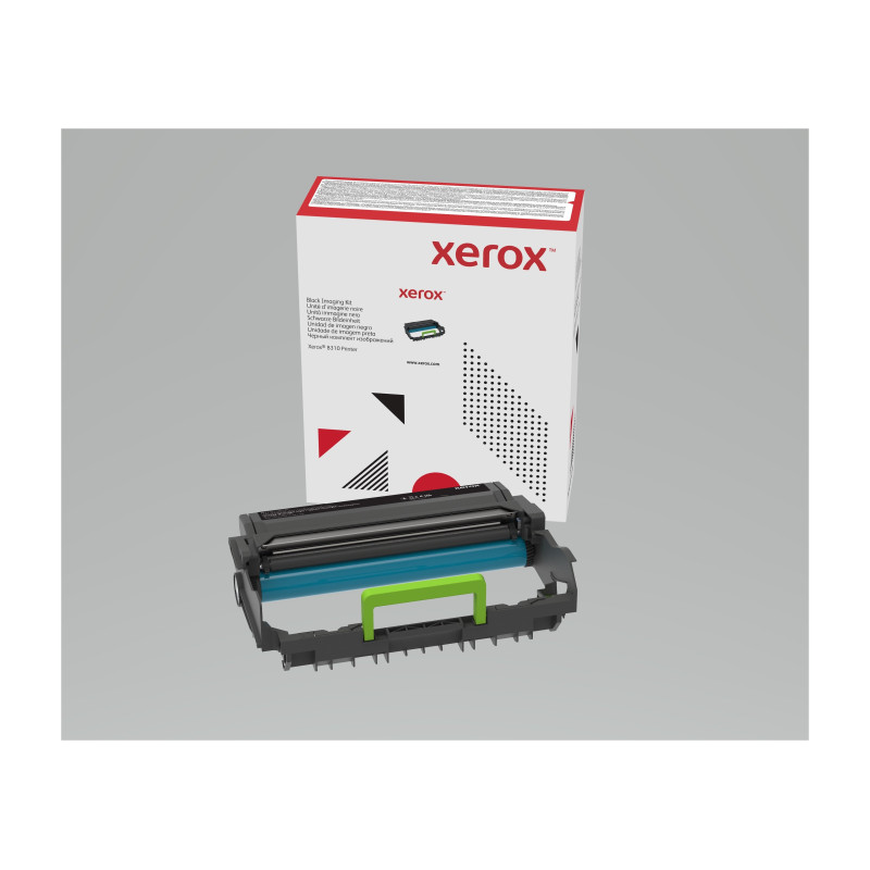 Cartuccia toner xerox b310-305-315 4000-pagine [013r00690]