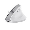 mouse trust bayo+ 25399 ottico ergonomico dx rf wireless/bluetooth