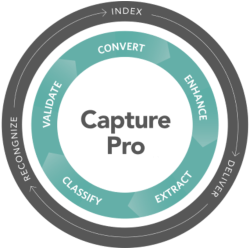 Licenza kodak alaris capture pro cappro-c-3y i3200/i3250/i3300/s3060/s3060f/s3100/s3100f