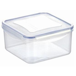 Contenitore tescoma quadro freshbox l.0,4 10x10 [tescoma]