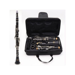 Clarinetto morgan cl418 ebanite nero