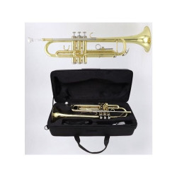 Tromba morgan tr520 ottone