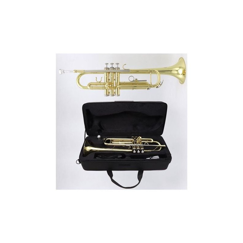 Tromba morgan tr520 ottone