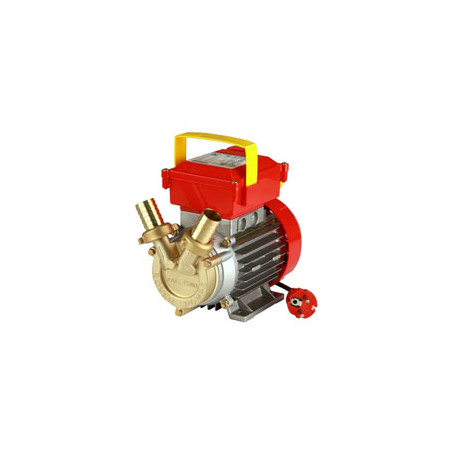 Elettropompa travaso rover mm.25 [rover ]