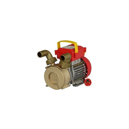 Elettropompa travaso rover mm.30 [rover ]