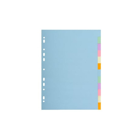 divisori exacompta 1612e pastel a4 neutri 12 tasti in cartoncino