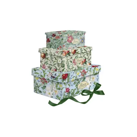 Set scatole regalo pigna nature flowers con nastro dimensioni assortite