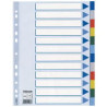 Divisori esselte 12 tasti colorati in ppl 21x29,7 [15262]